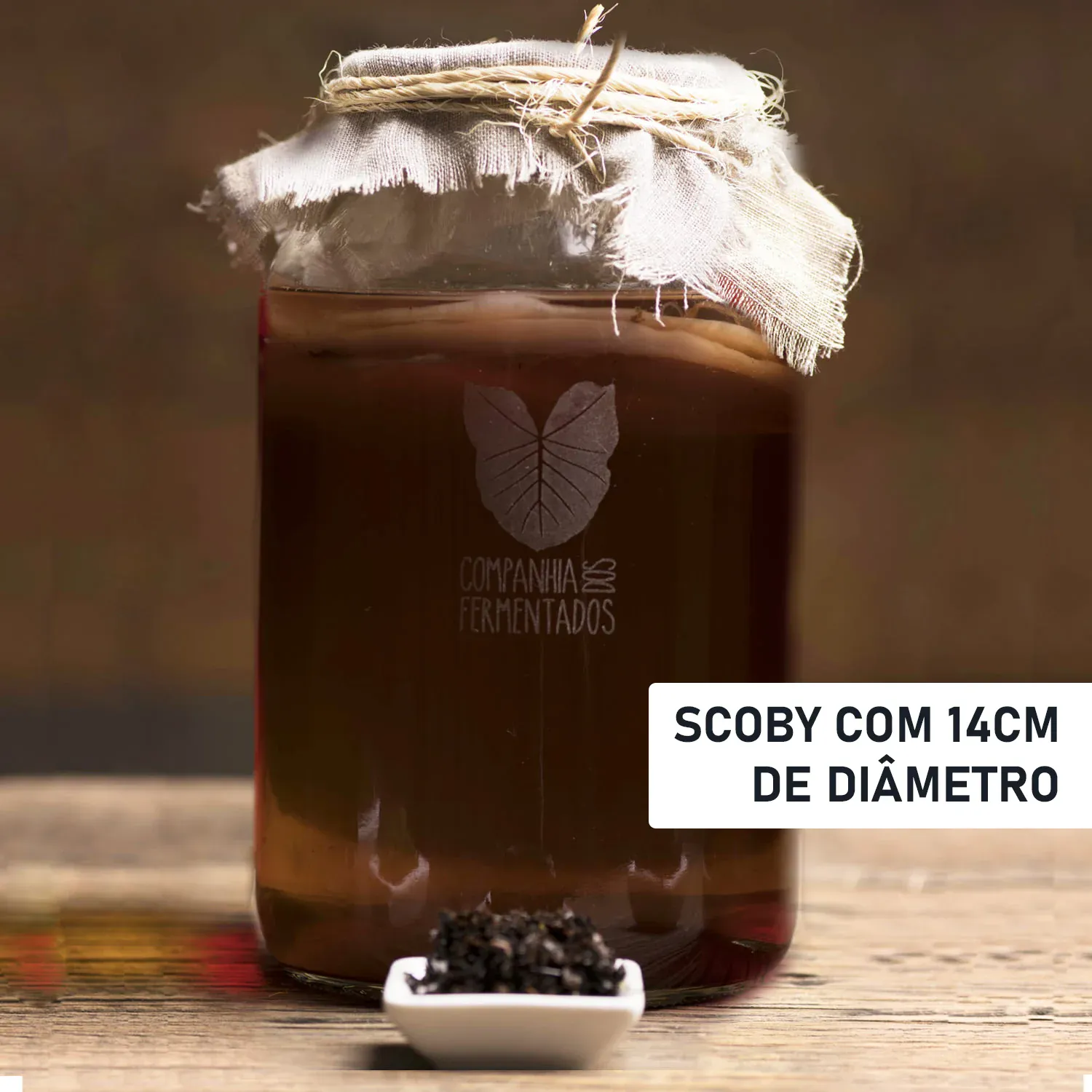Mãe do Kombucha - SCOBY - 14cm - C. Preto