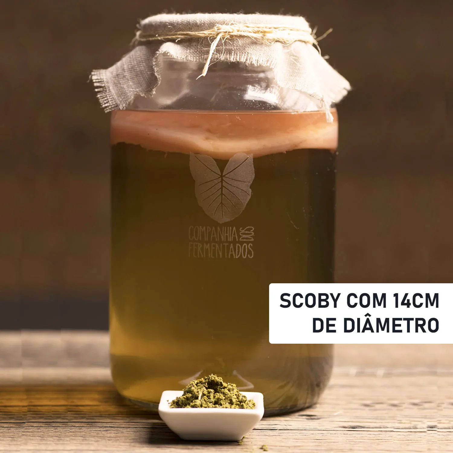 Mãe do Kombucha - SCOBY - 14cm - C. Verde