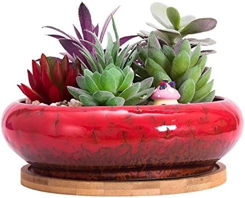 Accesorios de Cocina y Almacenamiento: Funcionalidad y Estilo