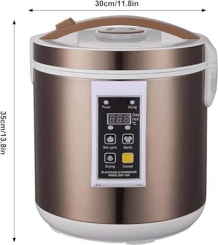 Análisis Detallado de la Máquina de Fermentación de Ajo Negro