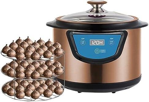 Descubre Mejores Herramientas ‍para Fermentación Casera