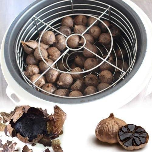 Análisis Detallado de la Máquina de Fermentación de Ajo Negro