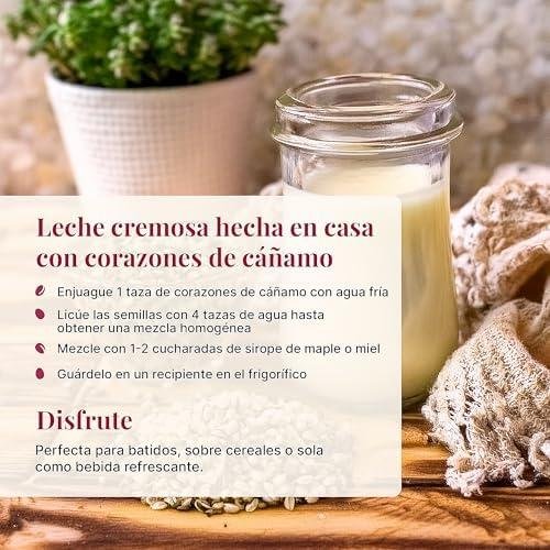 Nuestros Experimentos con Semillas de Cáñamo: Beneficios y Sabor